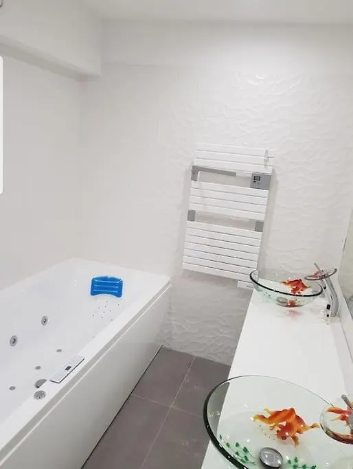 Appartement Superb Loft 200m2 8 Personnes Champs Elysees *